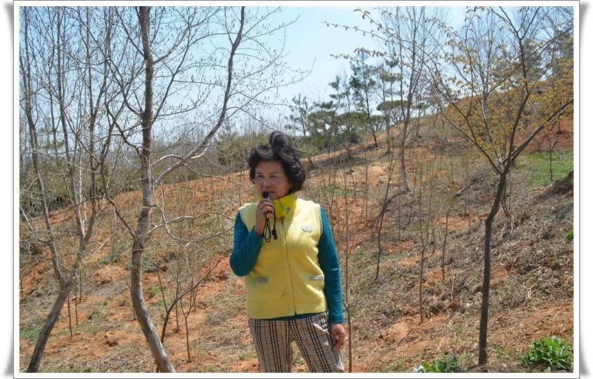 원우조경 이미지