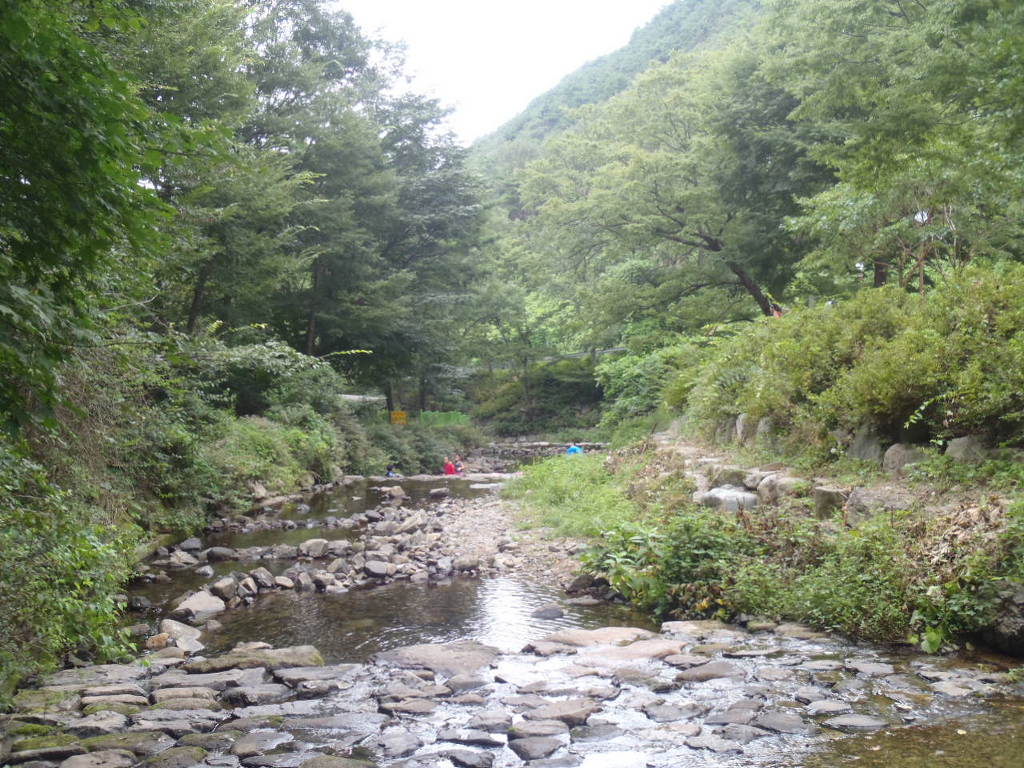 금화백숙 이미지