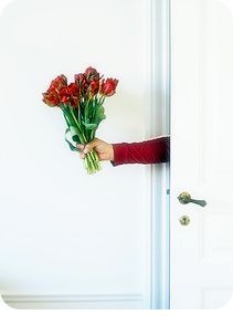 (주)햇슈 이미지