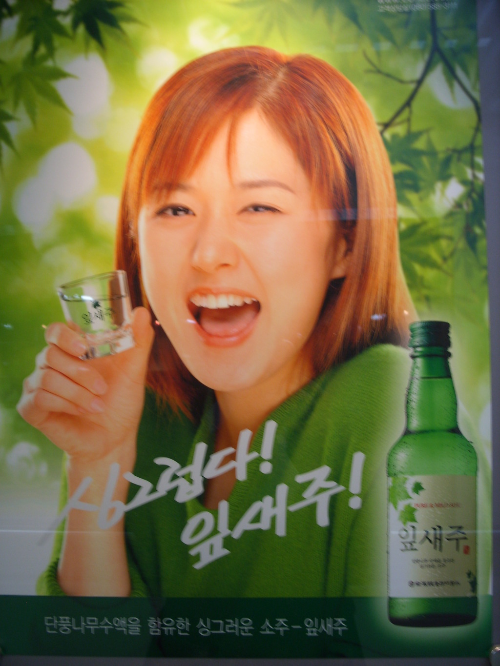 보해 이미지