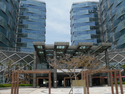 팔레드시즈 이미지
