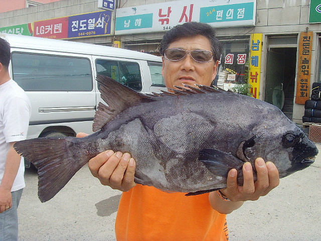 쎈놈 이미지