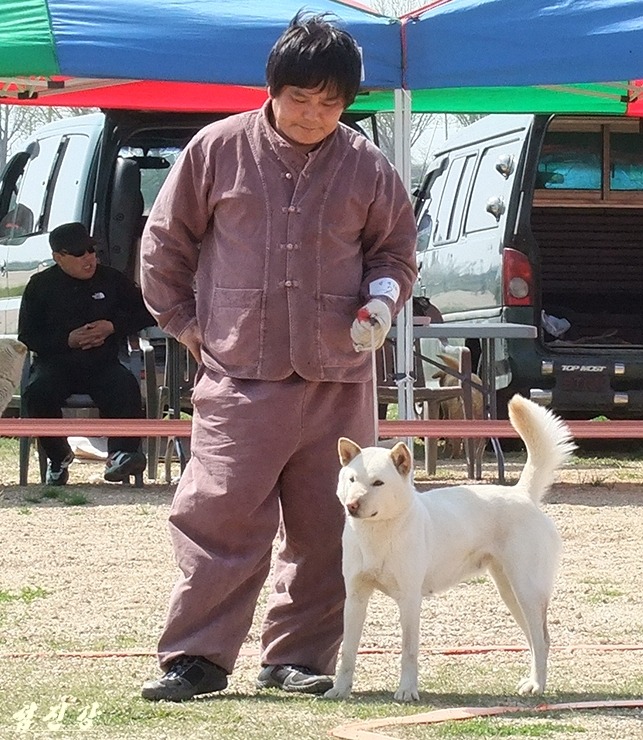 몽실이 이미지