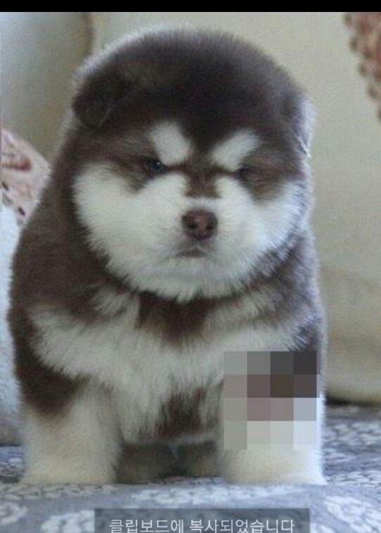 (주)레드 이미지