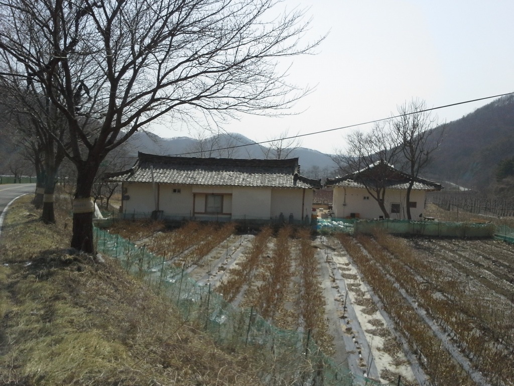 시골민박 이미지