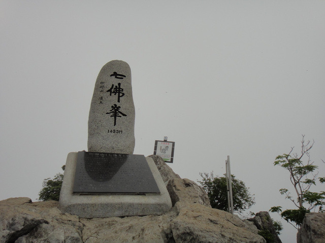 지금가야산 이미지