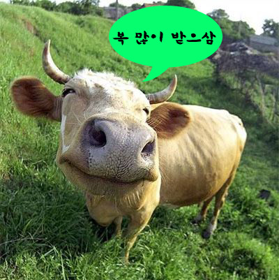 복이헤어샵 이미지