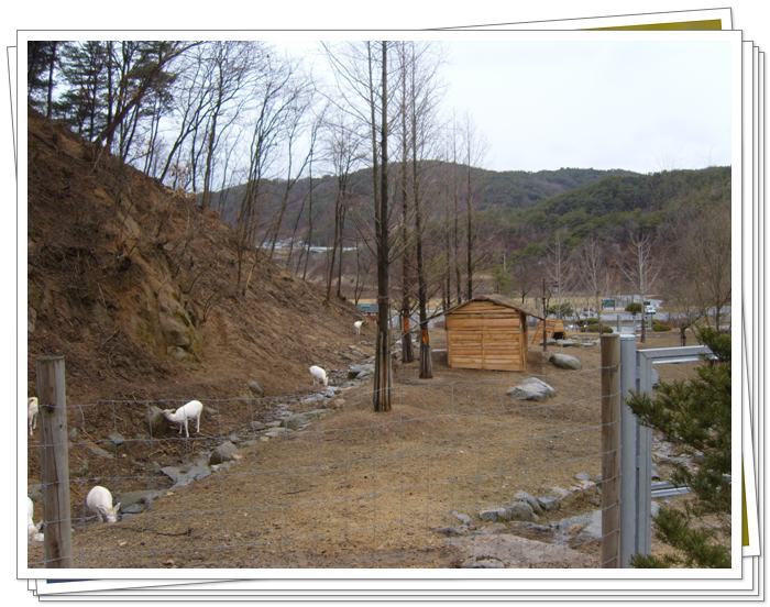 경상북도산림생태과학원 이미지