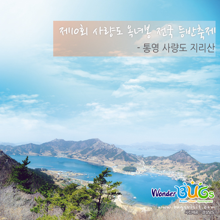 아지터 이미지