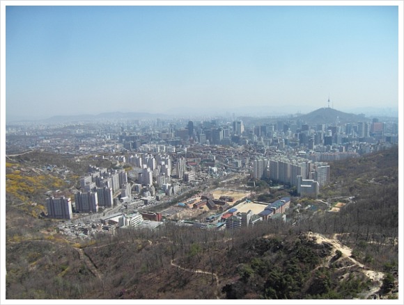 숲속의궁전 이미지