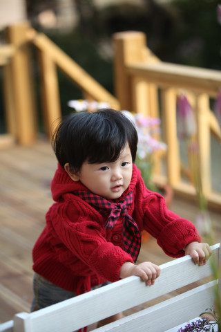 세이치즈 이미지