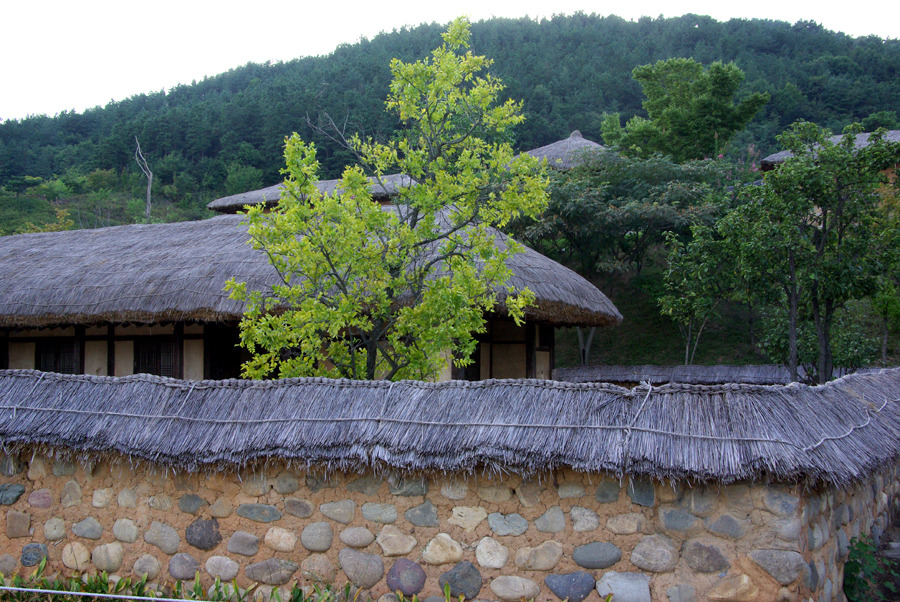 돌담 이미지