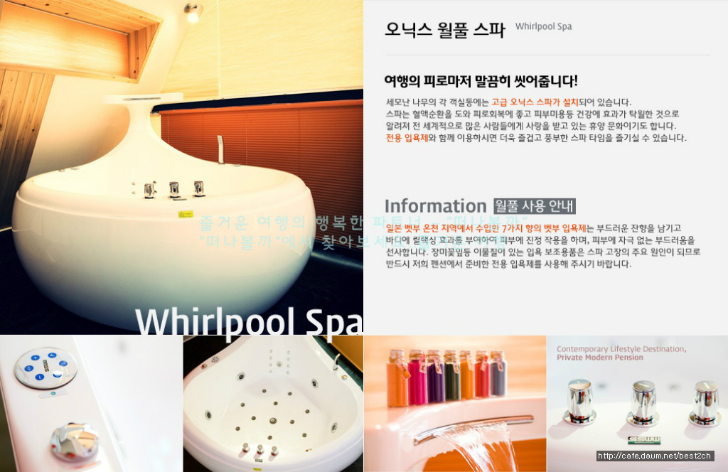 세모난나무 이미지