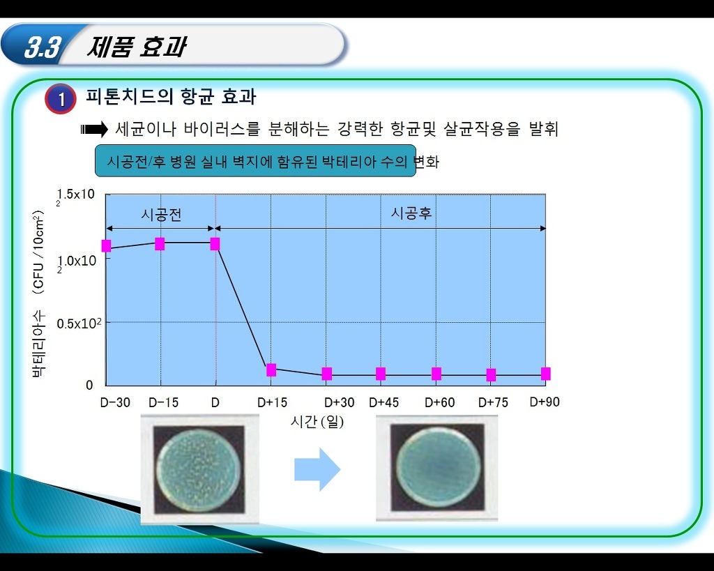 개미청소 이미지