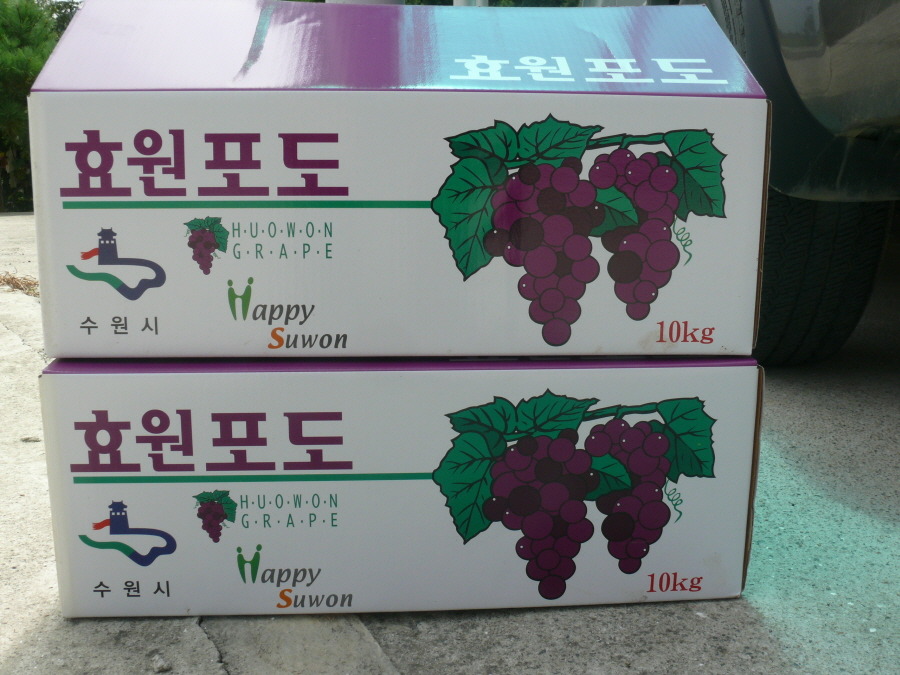 도토리포도 이미지