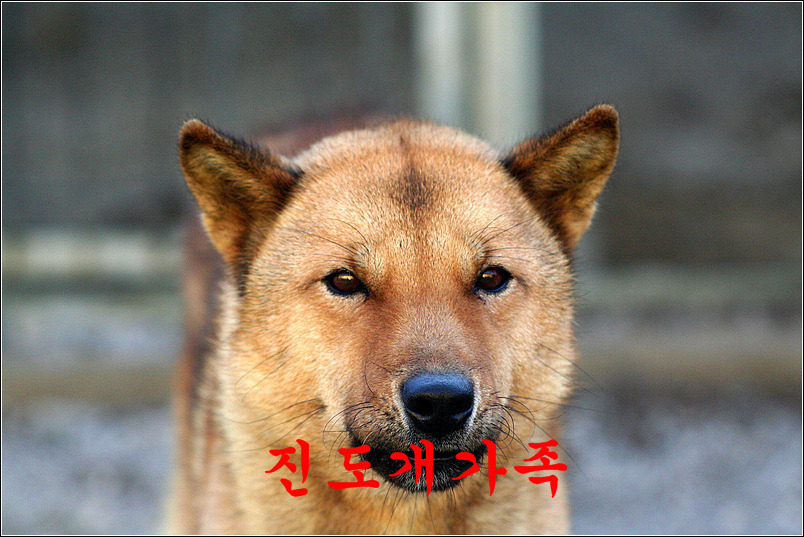 송도축산 이미지