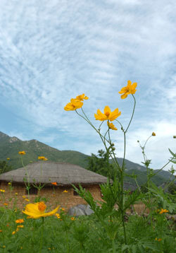 죽한사발 이미지