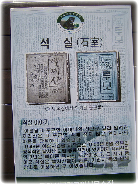 천년송가는길 이미지