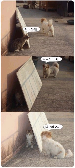누군가에게 이미지