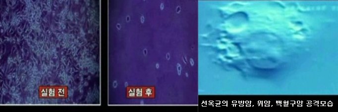 선옥 이미지