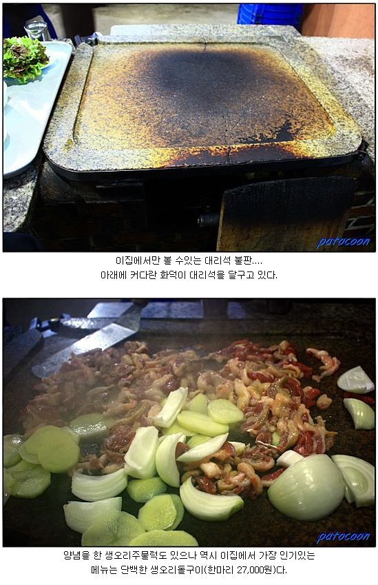 숲속의오리 이미지