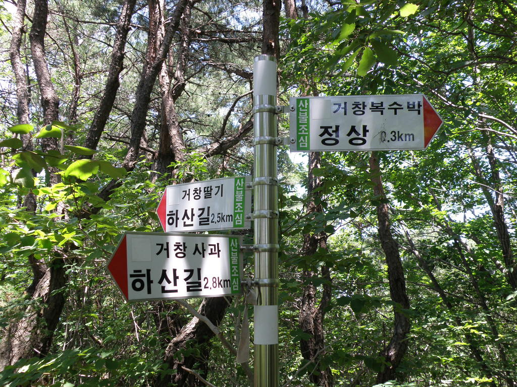 가자먹으로 이미지