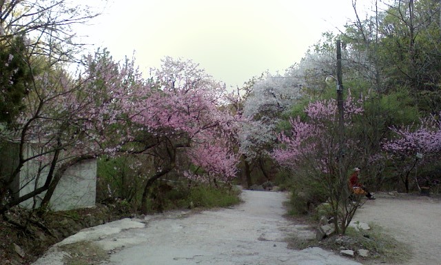 민병열 이미지