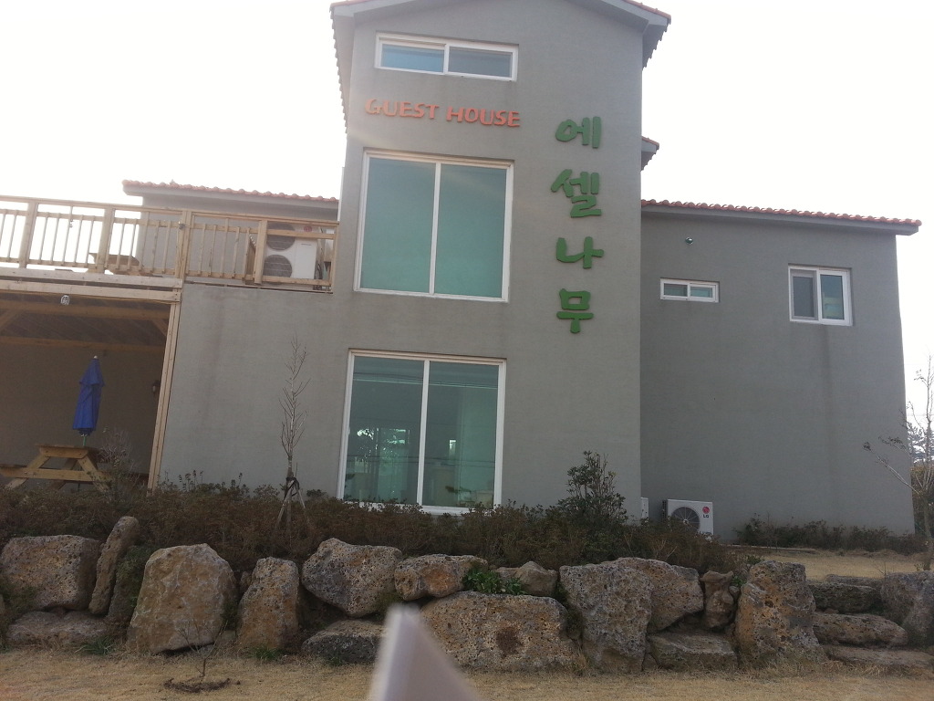 에셀나무게스트하우스 이미지