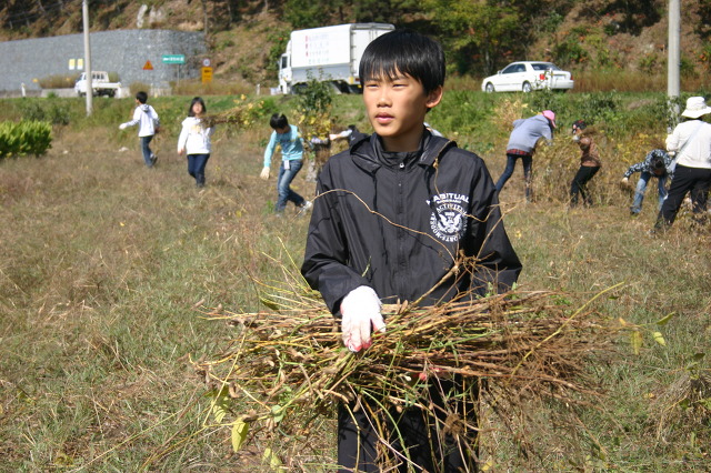 흥산 이미지