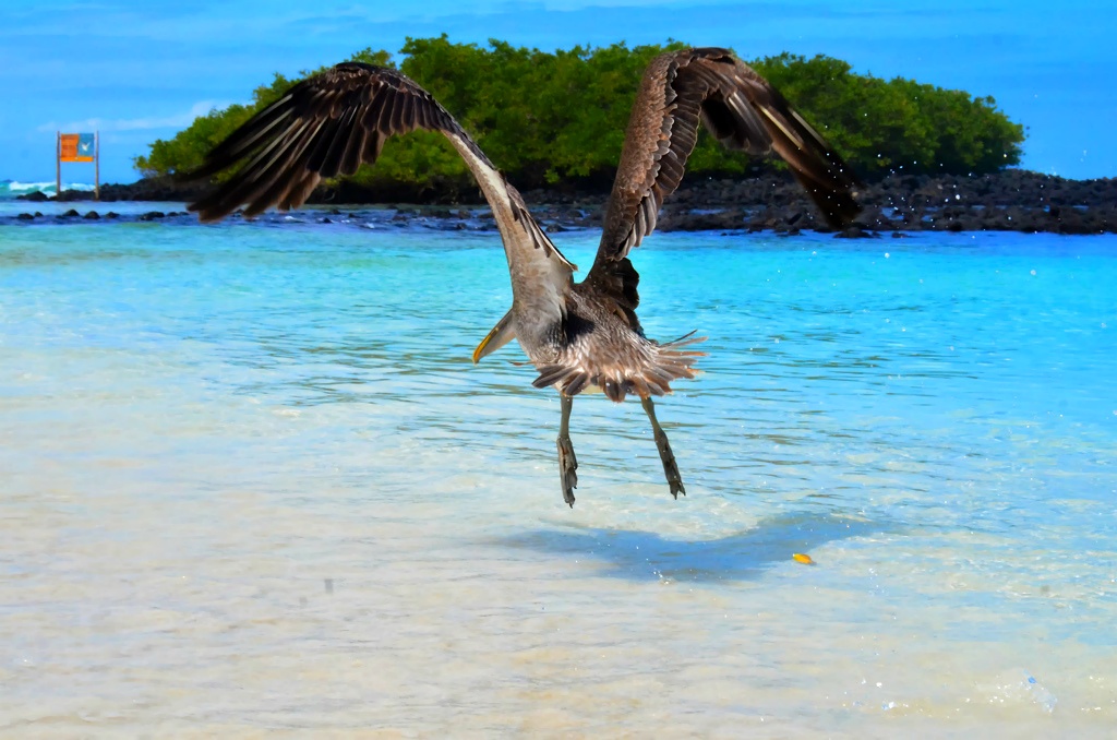 21014E445496BFC2112BC3