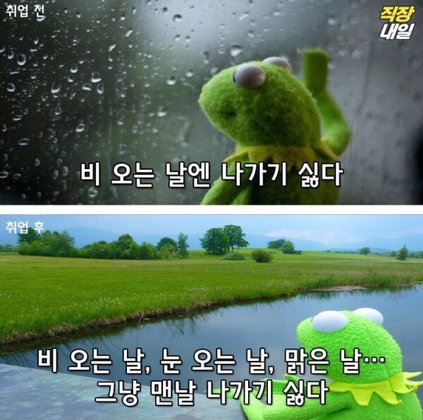 직장인이 되기 전/후 | 인스티즈
