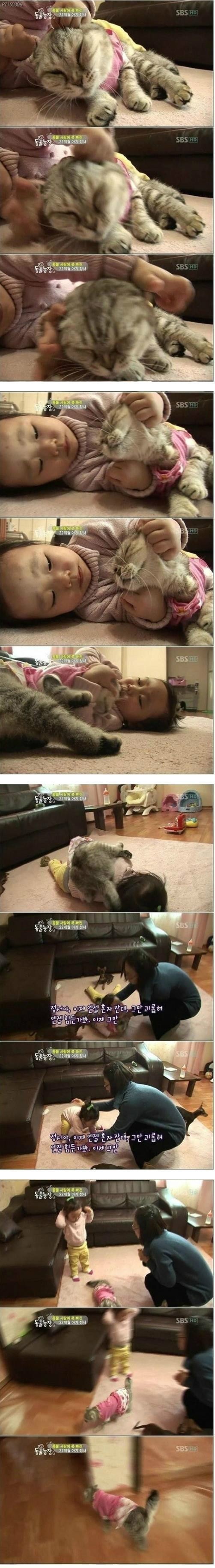 아기와 놀아주는 냥이..jpg | 인스티즈