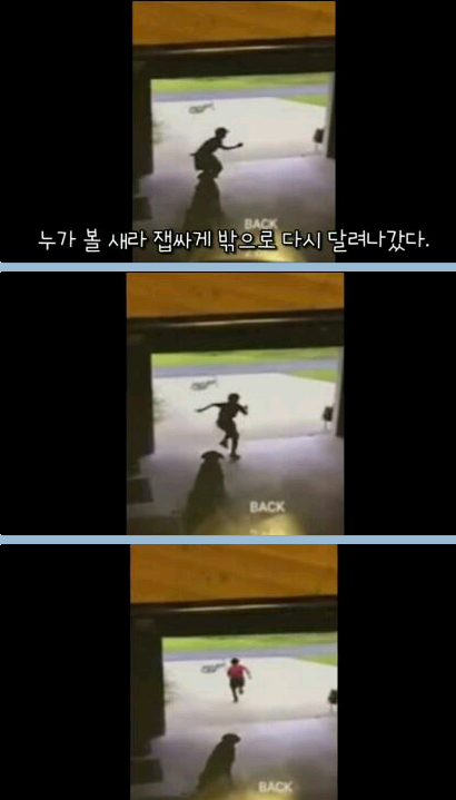 귀여운 무단침입자 | 인스티즈