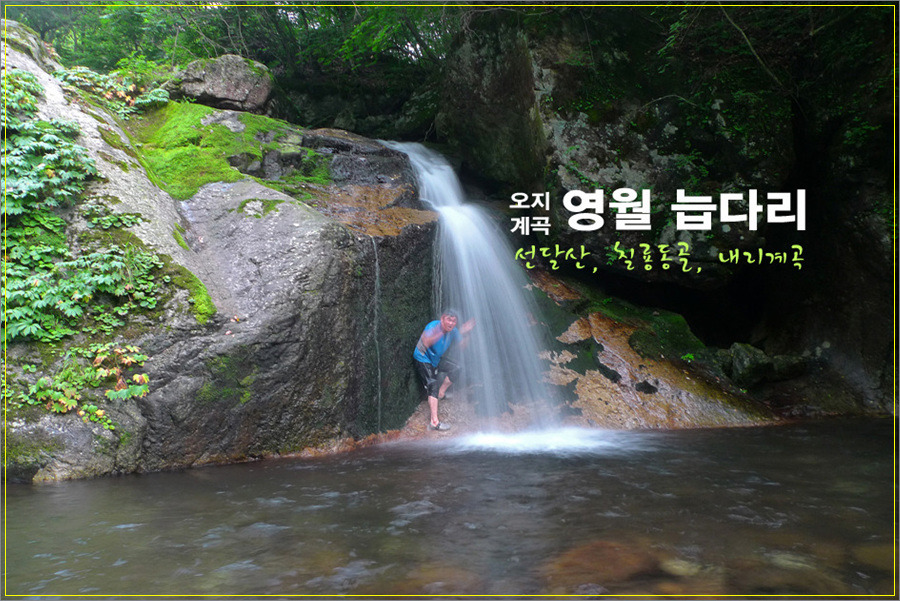 꿈꾸는유배지늡다리 이미지
