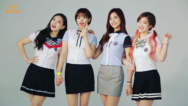 [트와이스] 떡고네 꽃밭 | 인스티즈