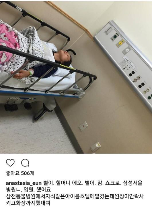 현재 인스타그램에 난리난 동물병원 사건 | 인스티즈