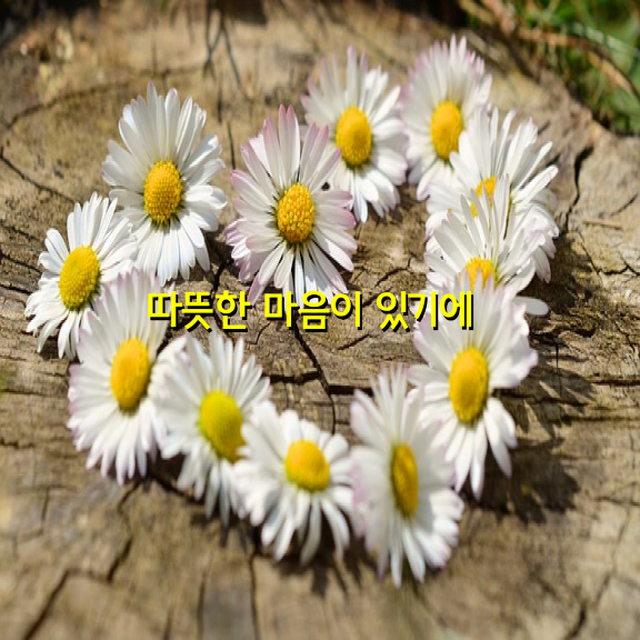 따뜻한마음 이미지
