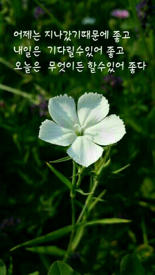 멋진하루 이미지