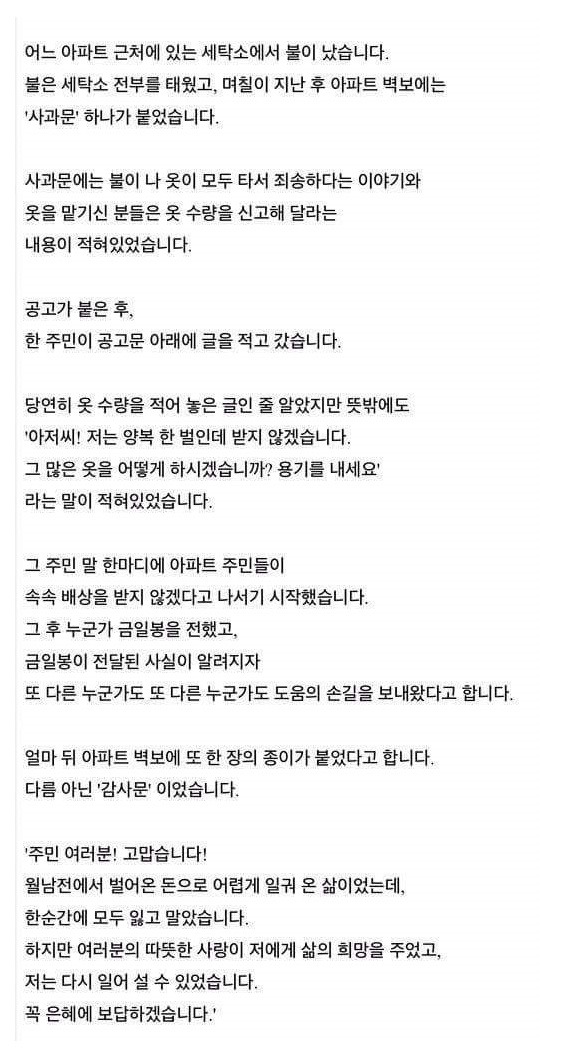 어느 세탁소의 사과문 | 인스티즈