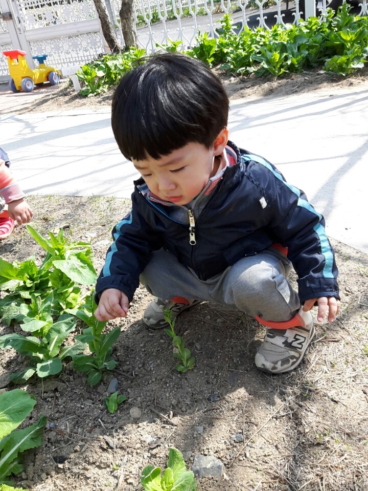 큰성지어린이집 이미지