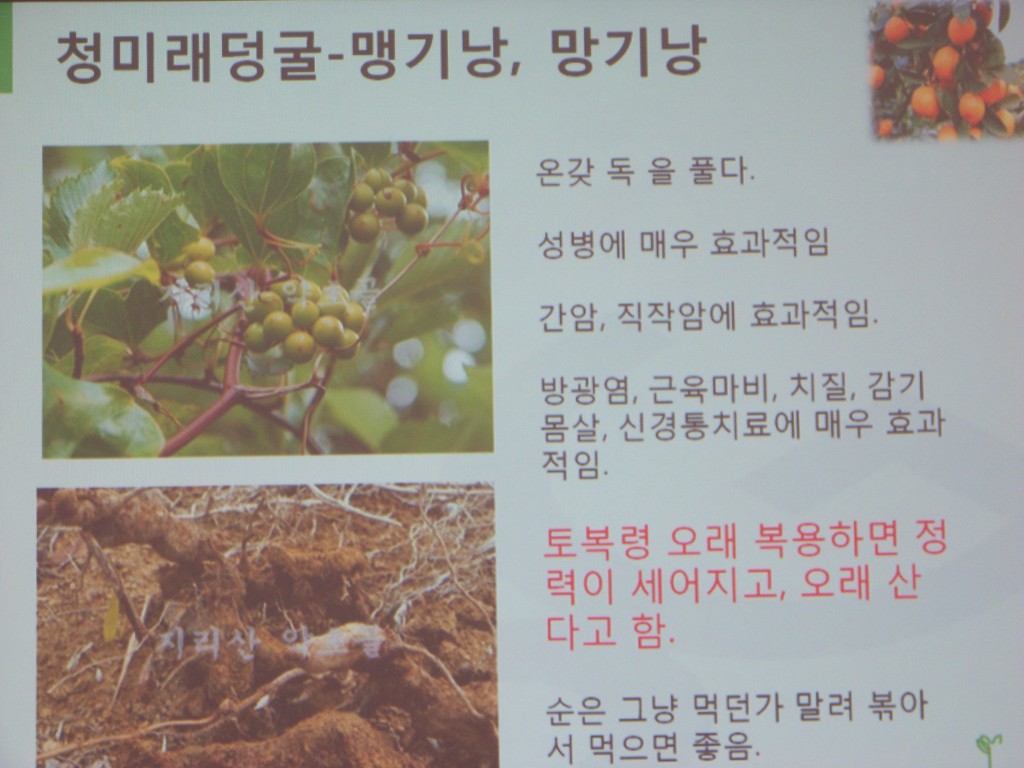 주식회사 보배식품 이미지