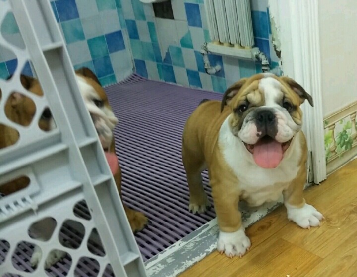 오드리 이미지