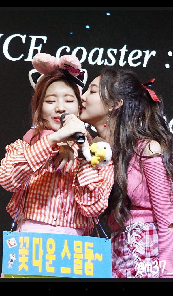 트와이스 꿀케미 | 인스티즈