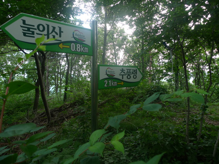 정상에서 본 백두대간 이미지