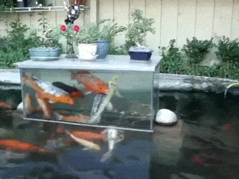 뭔가 이과가 이해시켜줄 것 같은 짤.gif | 인스티즈