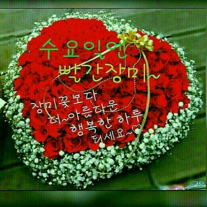 빵긋 이미지