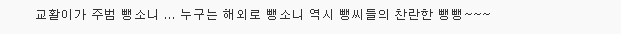황교안 총리 성주 탈출 중 일반인 차량 들이받아 | 인스티즈