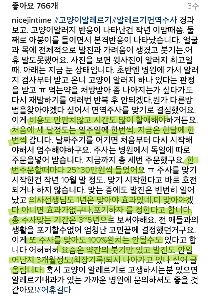 고양이 알레르기 치료법 있다는 거 알고 있는 사람.twt | 인스티즈