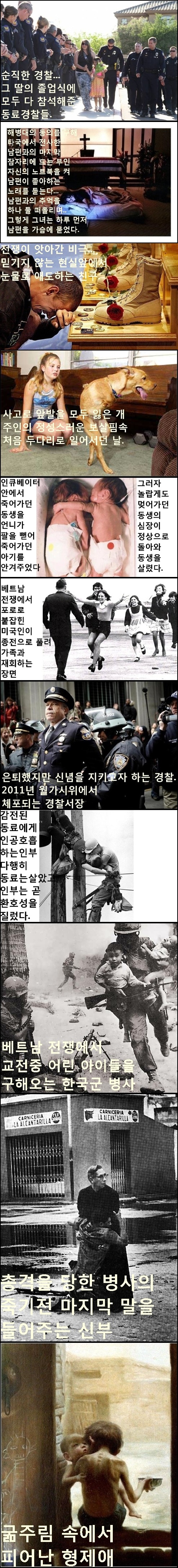 말로는 형언하기 힘든 사진 속 순간의 뭉클한 감정 45선.Jpeg | 인스티즈