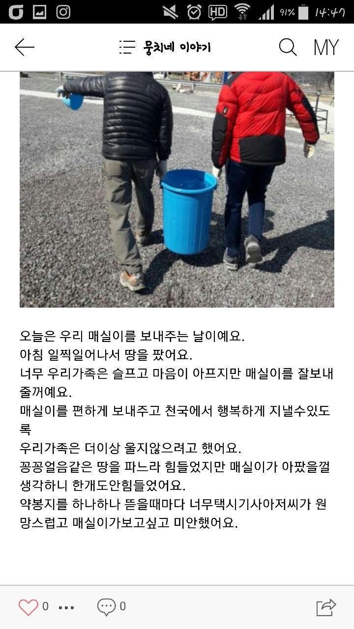 2월19일 일요일. 개소주가 되어버린 나의 가족 매실이를 예쁜매실나무로 만들어 보내주었습니다 | 인스티즈